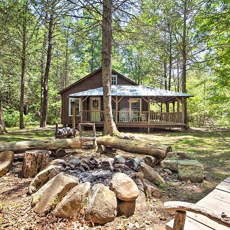 Clearwater Cabin On 10 Acres With Trout Stream! Monterey 外观 照片
