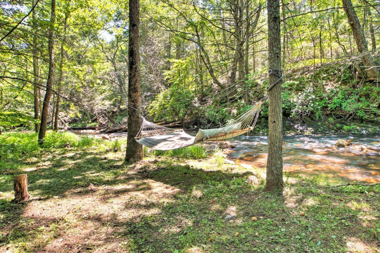 Clearwater Cabin On 10 Acres With Trout Stream! Monterey 外观 照片