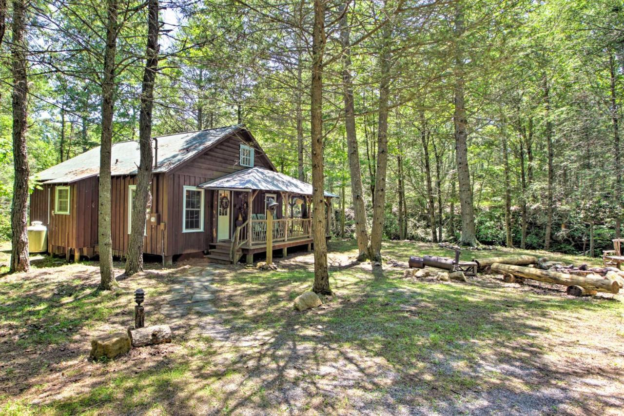 Clearwater Cabin On 10 Acres With Trout Stream! Monterey 外观 照片
