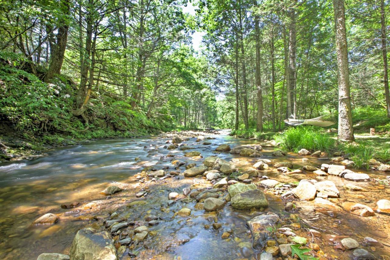 Clearwater Cabin On 10 Acres With Trout Stream! Monterey 外观 照片