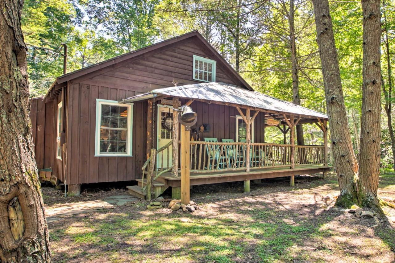 Clearwater Cabin On 10 Acres With Trout Stream! Monterey 外观 照片